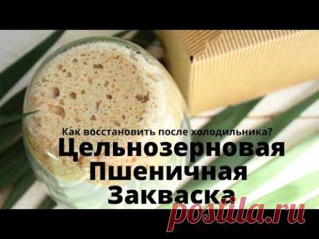 Цельнозерновая пшеничная закваска для хлеба ✧ КАК ВОССТАНОВИТЬ ЗАКВАСКУ ПОСЛЕ ХОЛОДИЛЬНИКА