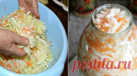 10 рецептов хрустящей капусты. Сохрани, пригодятся!
