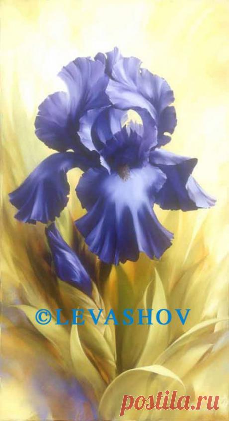 Современные рисунки ирисов - 982 картинки. Поиск Mail.Ru