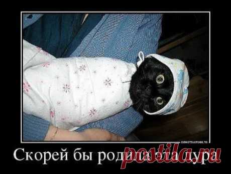 Ура! Пятница! Зверский юмор! | Давай поговорим