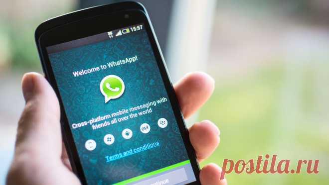 Удалить навсегда: в WhatsApp появится новая функция В WhatsApp тестируется новая функция, позволяющая устанавливать таймер для автоматического удаления публикаций. Аналогичная возможность существует и в других сервисах по обмену сообщениями, например, Telegram. В чем необходимость стирать личные сообщения в определенный промежуток времени — рассказывает «Газета.Ru».