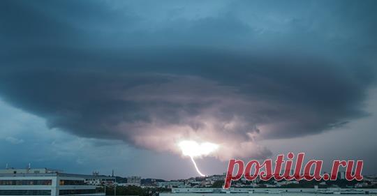 (4) Татьяна Андрющенко