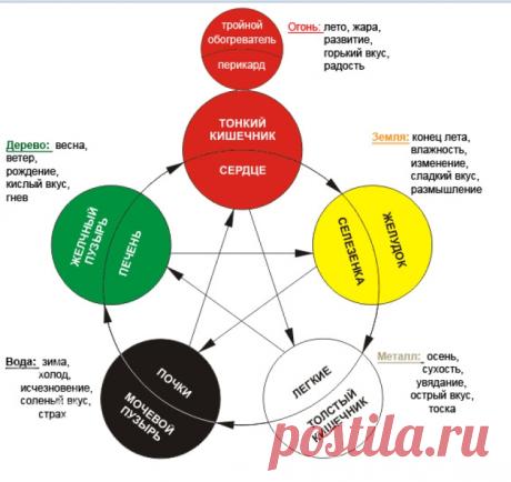 Распорядок дня организма: активность органов по часам Время активности органов человеческого тела можно использовать, чтобы укрепить здоровье и предотвратить возникновение проблем. Также, зная, чем организм занят в то или иное время дня, Вы сможете подкорректировать свой график так, чтобы сделать день максимально продуктивным и приятным.
