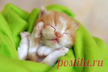 природа