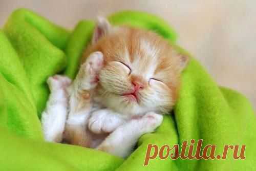 природа
