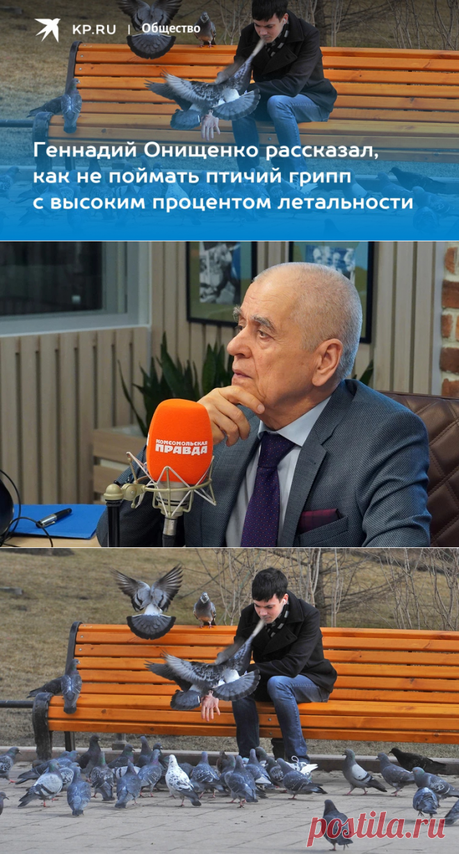 2023-Геннадий Онищенко рассказал, как не поймать ПТИЧИЙ ГРИПП с высоким процентом ЛЕТАЛЬНОСТИ - KP.RU