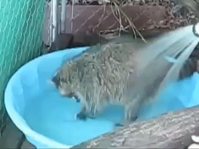 Найдено на GIFER Миллионы гифок на любой случай!