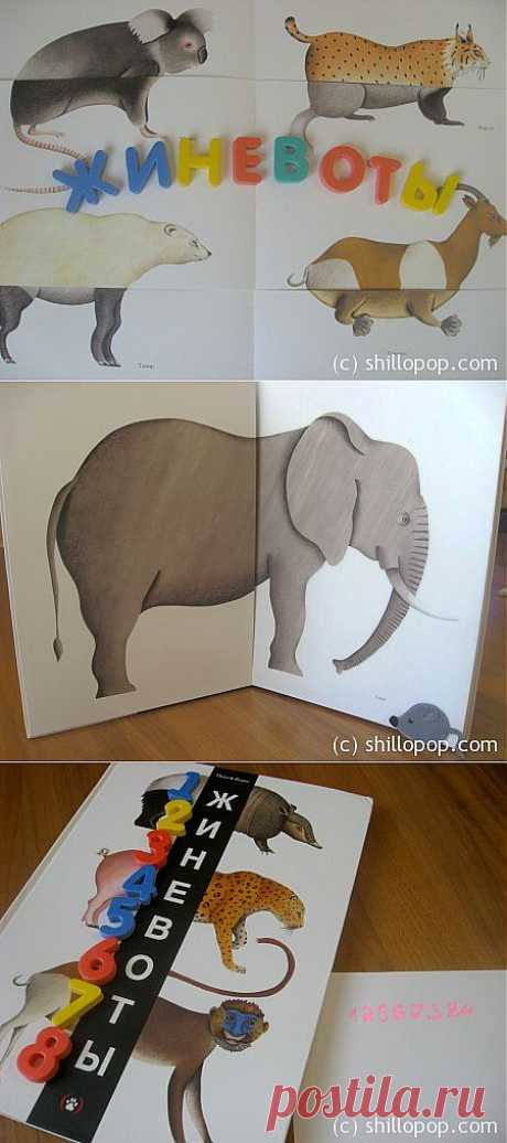 Кто такие &quot;жиневоты&quot;?:)