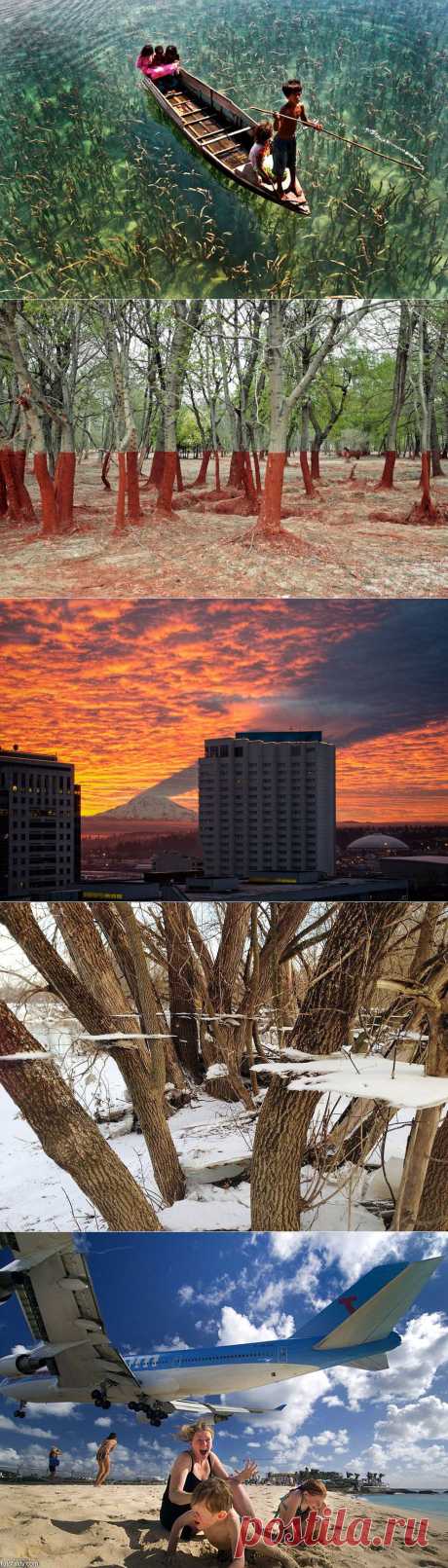 Без фотошопа: самые удачные фотографии за прошедший месяц.