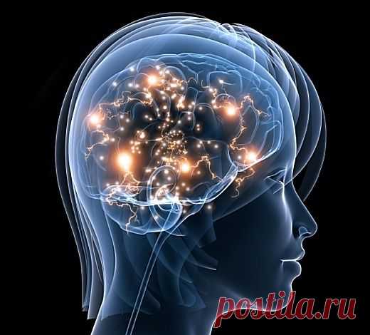 Как медитация трансформирует мозг. Часть 1
