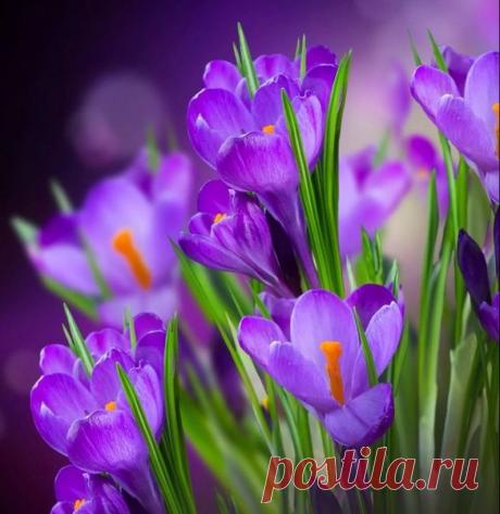 Мой Мир@Mail.Ru