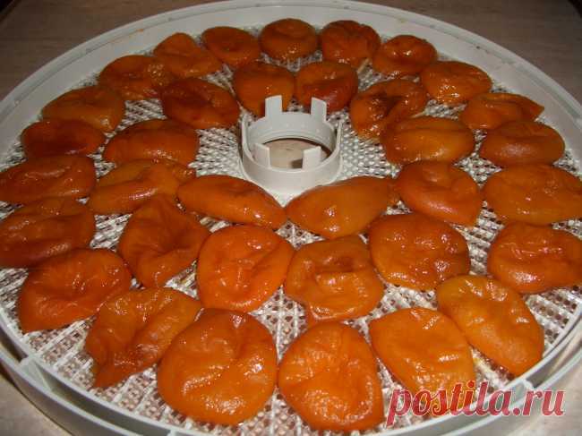Рецепт вяленых абрикос - домашняя курага