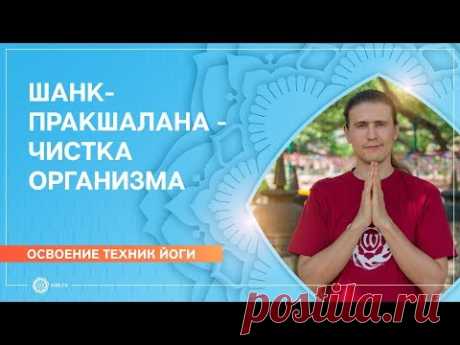 Дневник TVORYU