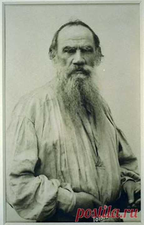 leo Tolstoy - Google Search  |  Pinterest • Всемирный каталог идей
