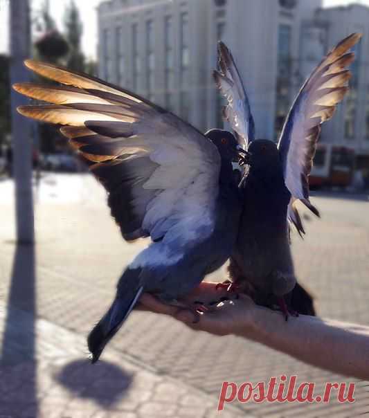 Больше, чем просто фотография