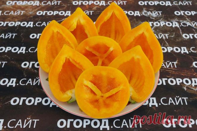 Перец сладкий Леся оранжевая семена купить | ОГОРОД.сайт