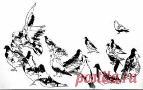 Гладкий Александр Андреевич - Palladium Gallery