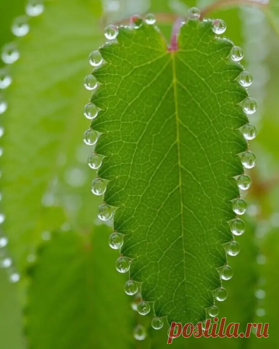 Хрусталь Природы