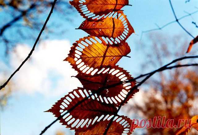 Земное искусство