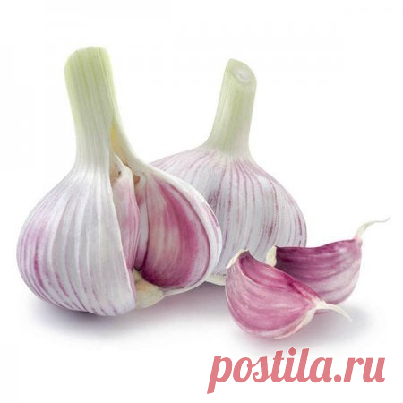 Чеснок: 7 бед — один ответ!