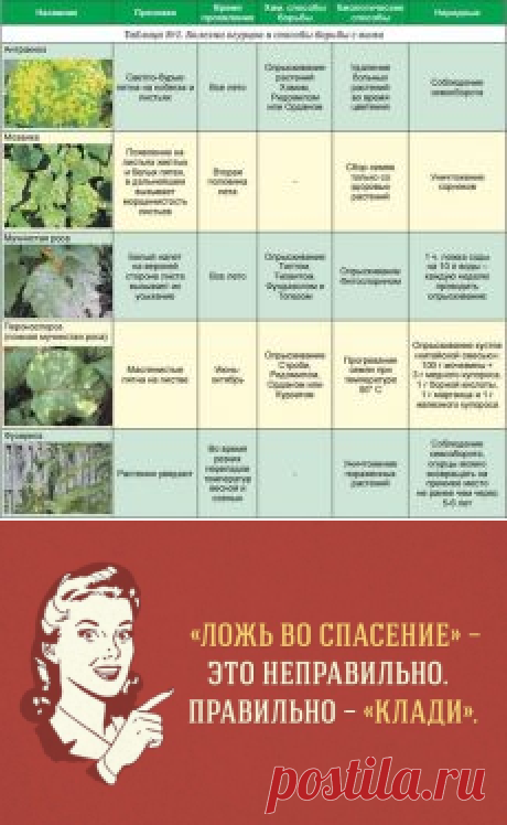 ❀ Простые узоры спицами. Форма груди. Русский язык. Углеводные мифы. Сбить температуру. Болезни огурцов // Кусочек Постилы к чаю! - lnd2011-55@mail.ru - Почта Mail.Ru