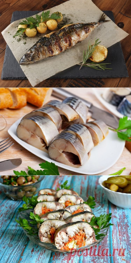 20 способов вкусно приготовить скумбрию