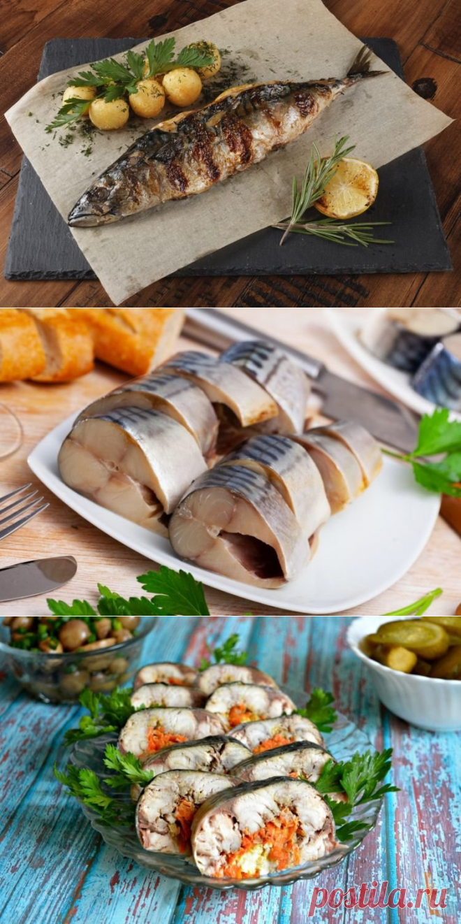 20 способов вкусно приготовить скумбрию