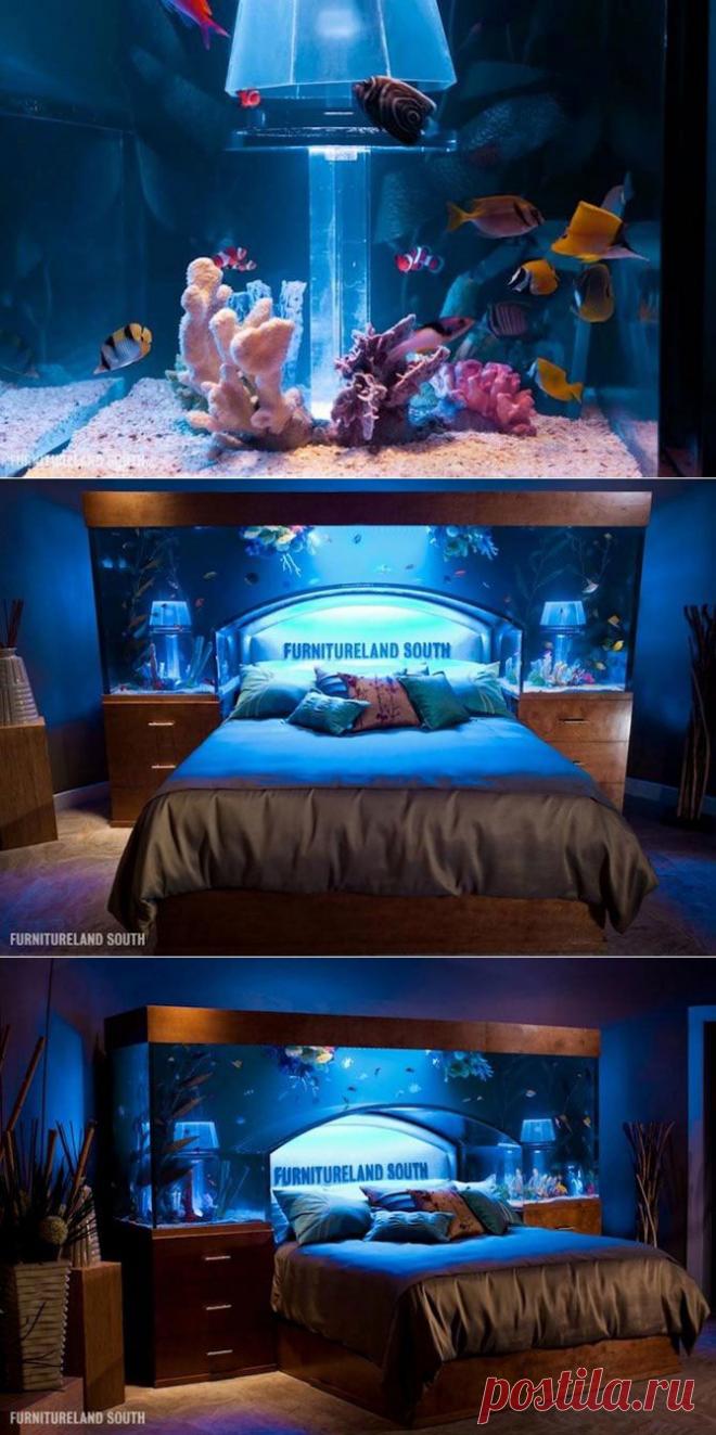 Необычный аквариум в необычном месте