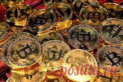 Курс биткоина резко вырос. Биткоин резко подорожал на 12 процентов. Курс криптовалюты вырос до отметки в 24,716 тысячи долларов. Ранее автор бестселлера «Богатый папа, бедный папа» Роберт Кийосаки предсказал, что курс биткоина вырастет до 500 тысяч долларов за монету к 2025 году. Он уверен, что вера в доллар ослабнет.
