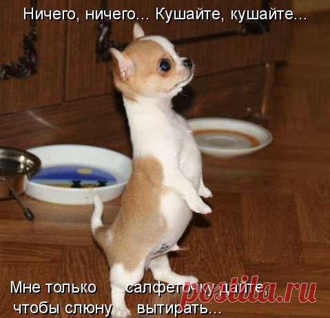 Лилия Советкина | ВКонтакте