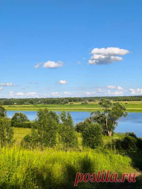 Новгородская область.