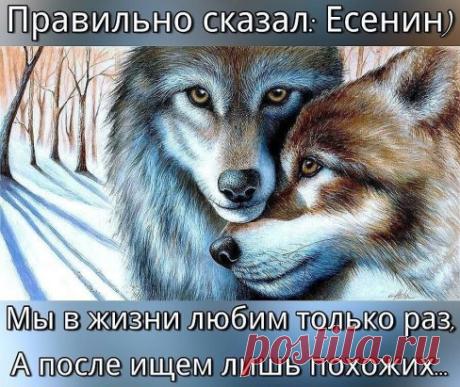 Никто не знает наперёд,
Кого и с кем судьба сведёт.
Кто будет друг, кто будет враг,
А кто знакомый, просто так…
Кто осчастливит, кто предаст,
Кто отберёт, кто всё отдаст.
Кто пожалеет дел и слов,
А кто разделит хлеб и кров