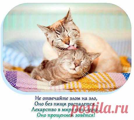 Каким будет Ваш выбор?