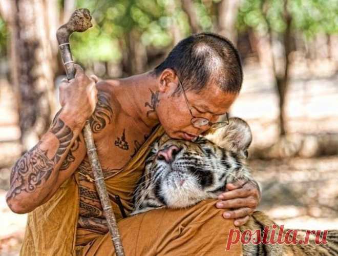 Фотографии на которые нельзя смотреть равнодушно | Домашняя аптечка
