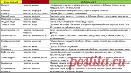 Нет диетам! 5 принципов женского типа питания для здорового веса | 7 минут на красоту | Яндекс Дзен