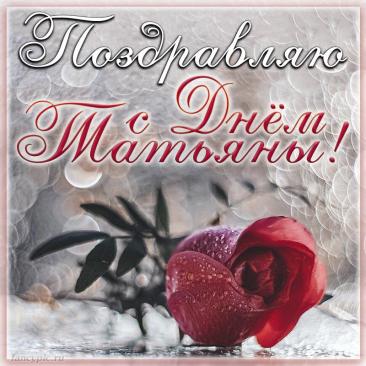 В день памяти святой мученицы Татианы желаю вам душевного мира, крепкой веры и молитвенной помощи небесной покровительницы во всех делах! Открытки на День памяти святой мученицы Татианы!