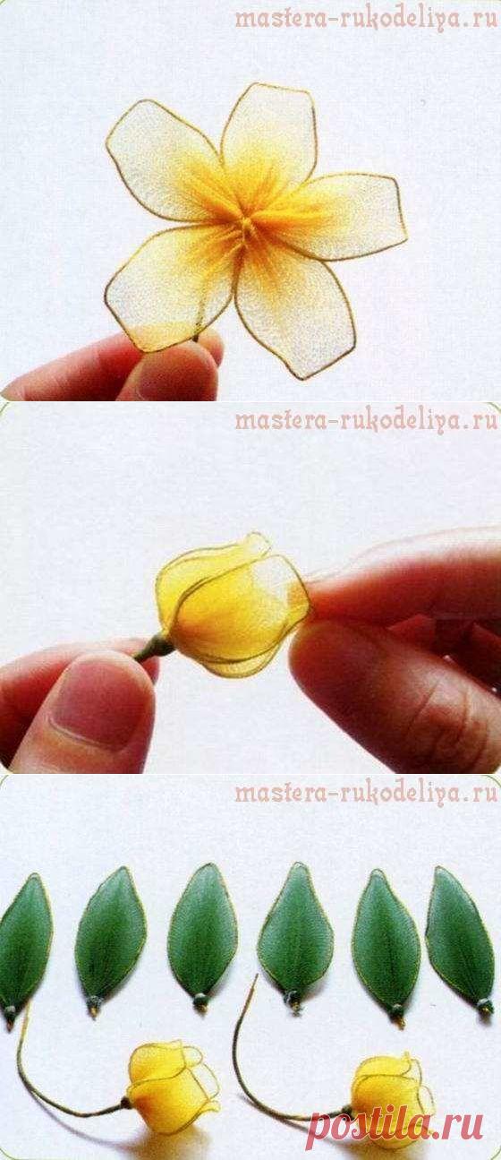 Мастер-класс по созданию цветов из капрона: Сандерсония - Китайская лилия-фонарик