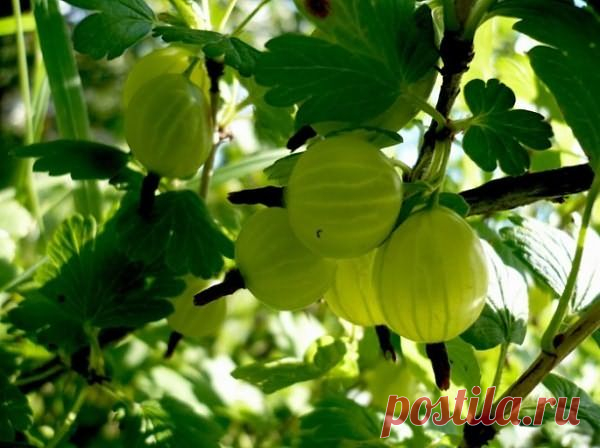 2 непрочитанных чата