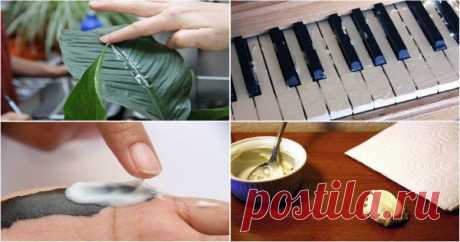 Для чего может быть полезен обычный майонез