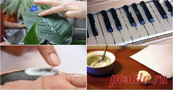 Для чего может быть полезен обычный майонез