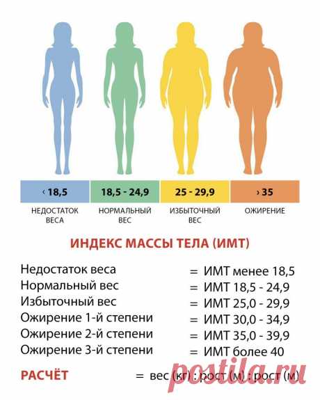 Как похудеть на 4 килограмма Все о методах похудения, фитнес, домашние диеты, правильное питание, диетические рецепты.
