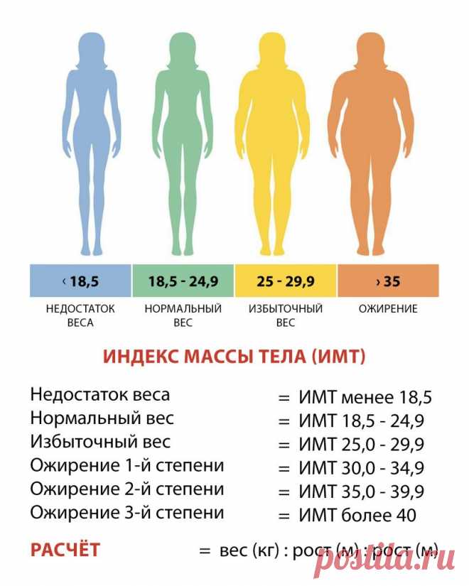 Как похудеть на 4 килограмма Все о методах похудения, фитнес, домашние диеты, правильное питание, диетические рецепты.