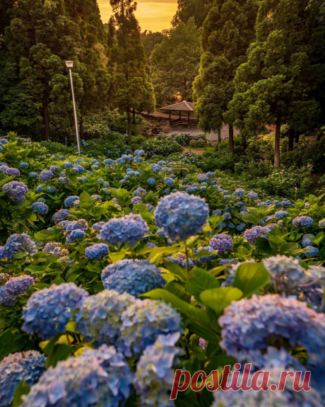 i (1080×1350)