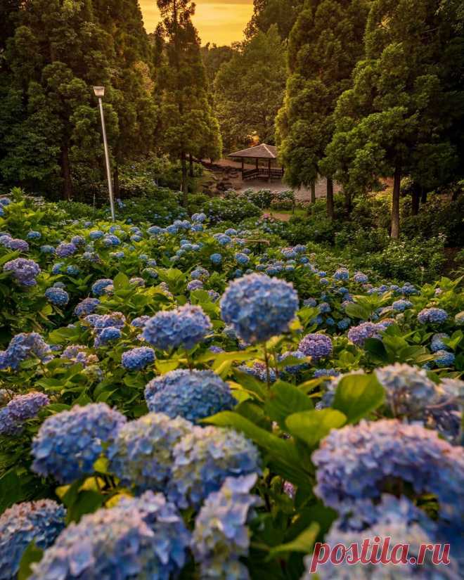 i (1080×1350)