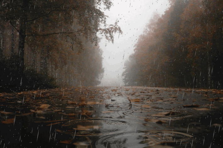 Осенний дождь.