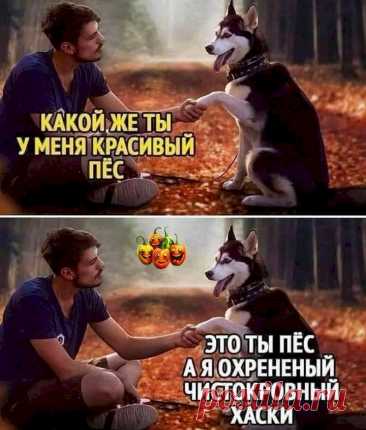 Выпуск №6568 - выпуск анекдотов сайта вокруг смеха