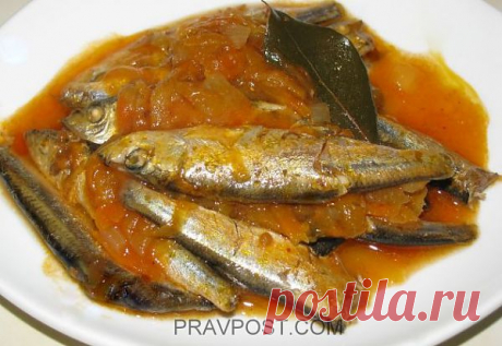Килька в томате | PRAVPOST