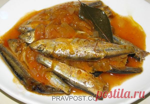 Килька в томате | PRAVPOST