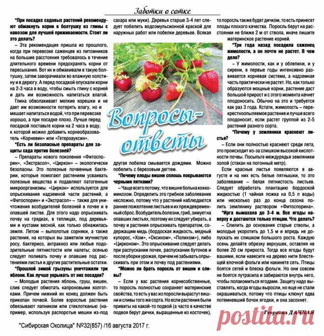 Забота о сотке. Вопросы - ответы
