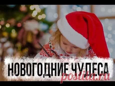 Александр Цыпкин рассказ "Не скажу" Читает Андрей Лукашенко